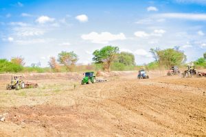 WhatsApp-Image-2026-02-13-at-09.38.17-1-300x200 BLOCO DO CORTE DE TERRA 2026 JÁ ESTÁ NAS COMUNIDADES RURAIS DE CURRAIS NOVOS