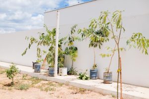 WhatsApp-Image-2026-02-25-at-11.38.40-1-300x200 PREFEITURA REALIZA VISITA INSTITUCIONAL À PRIMEIRA ÁREA  VERDE DO MUNICÍPIO, LOCALIZADA NA CRECHE TIA NETA