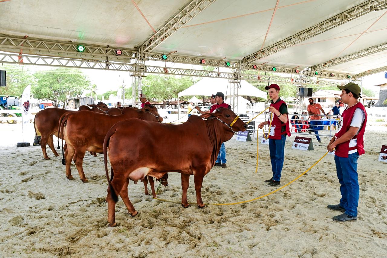 WhatsApp-Image-2026-04-17-at-10.28.54 Início