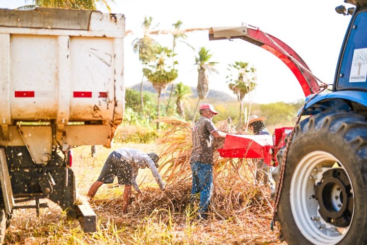 PREFEITURA DE CURRAIS NOVOS AMPLIA PROGRAMA DE SILAGEM
